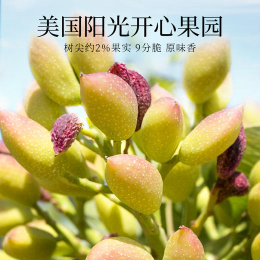 [唐老板专属]新农哥大颗粒开心果225g/罐装新货原色无漂白自然开口孕妇解馋坚果配料干净休闲零食 商品图1