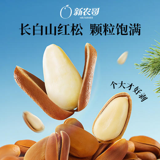 [唐老板专属]新农哥东北长白山红松500g罐装手剥红松子坚果休闲零食干果 商品图2