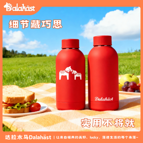 达拉木马保温杯300ml