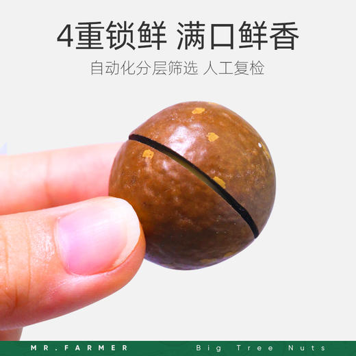 [唐老板专属]新农哥奶香味大坚果颗粒夏威夷果225g/罐配料干净罐装零食 商品图3