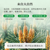 松达婴儿护肤松花粉52g痱子粉婴儿专用 商品缩略图1
