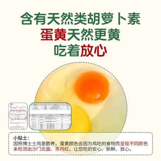 【发出后不支持拦截退货】杨博士 土鸡蛋 40-50g*60 商品图2