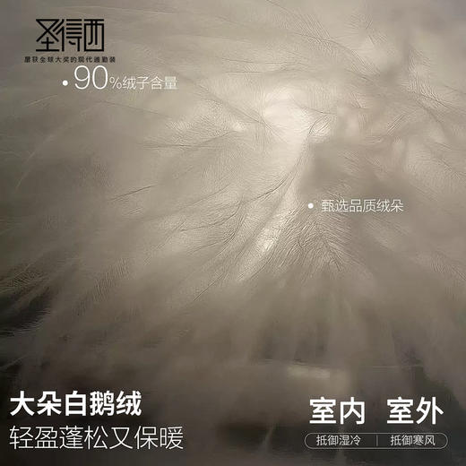 圣得西男款连帽羽绒服 商品图4