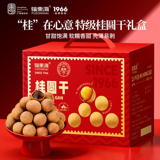 福东海 桂圆干礼盒1kg 零食干果过年货礼盒送长辈补品龙眼肉煲汤 商品图0