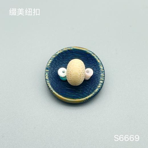 S6669(整包购买) 商品图5