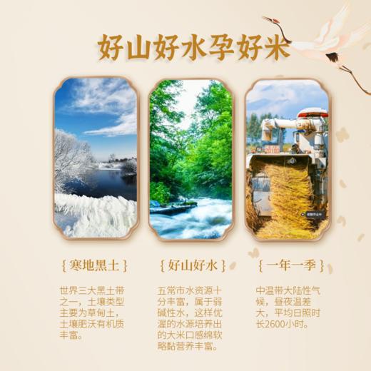 绿洲果实·元气王原粮稻花香2号 多规格可选 五常大米 晶莹剔透 商品图3