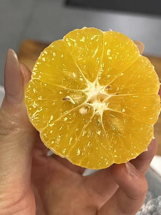 广西武鸣皇帝 柑｜口感巅峰2月9日停售｜产地现摘现发 商品图1