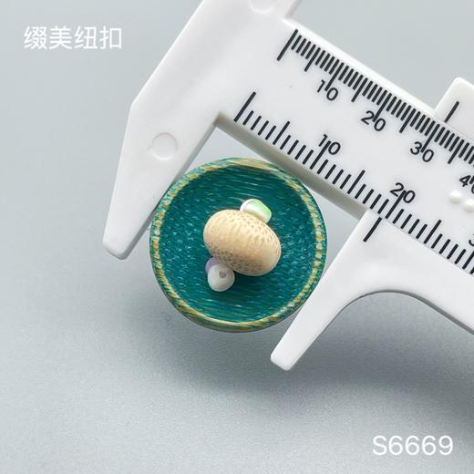 S6669(整包购买) 商品图6