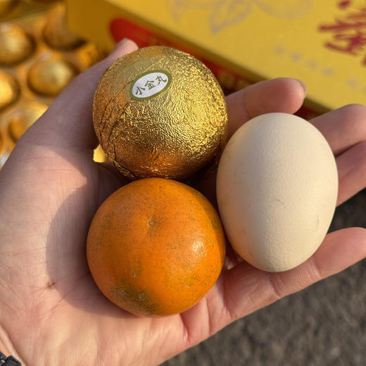 融安龙珠大金柑 商品图0