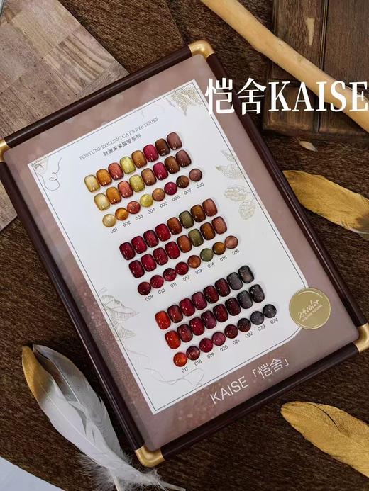 24色财源滚滚袭 商品图1