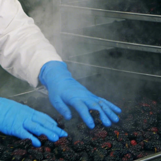 三蒸六制桑葚干 | 柴火蒸制满满果胶清甜口感。四川蜀地原料产区。一大包内含多份小包装。200g/袋 商品图1