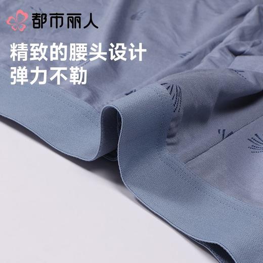 都市丽人内裤男士内裤50S人棉内裤人棉平角内裤明筋内裤FKCG06 商品图5