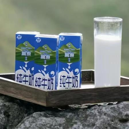 【纯牛奶】200ml*12盒/箱 高原自有生态牧场 山清水秀甘甜 商品图0