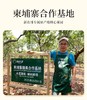 [唐老板专属][头茬新货 鲜采上市]新农哥正宗大颗粒腰果225g*4罐饱满大腰果原味盐焗解馋零食干果- 商品缩略图2