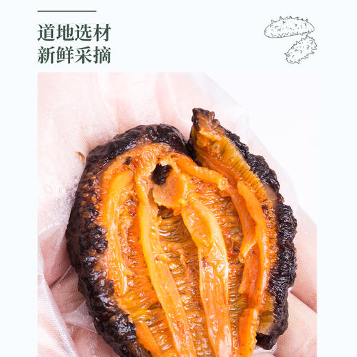贤慧堂 野生淡干北极参180g 商品图3