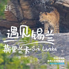 「早鸟价 · 暑假多团期」遇见锡兰 · 斯里兰卡自然人文探索之旅 商品缩略图0