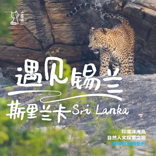 「早鸟价 · 暑假多团期」遇见锡兰 · 斯里兰卡自然人文探索之旅 商品图0