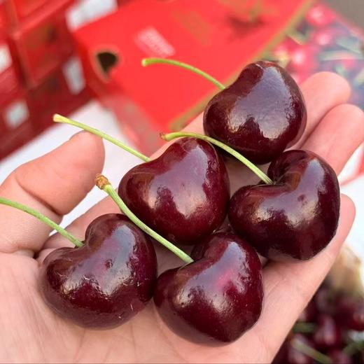 智利4JD Skeena车厘子 商品图2