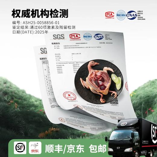 【发出后不支持拦截退货】杨博士 皖南林鸽 350g*2+400g*1（赠党参黄芪汤包60g*1） 商品图5