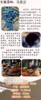 2023年份马瑟兰干型红酒 商品缩略图2