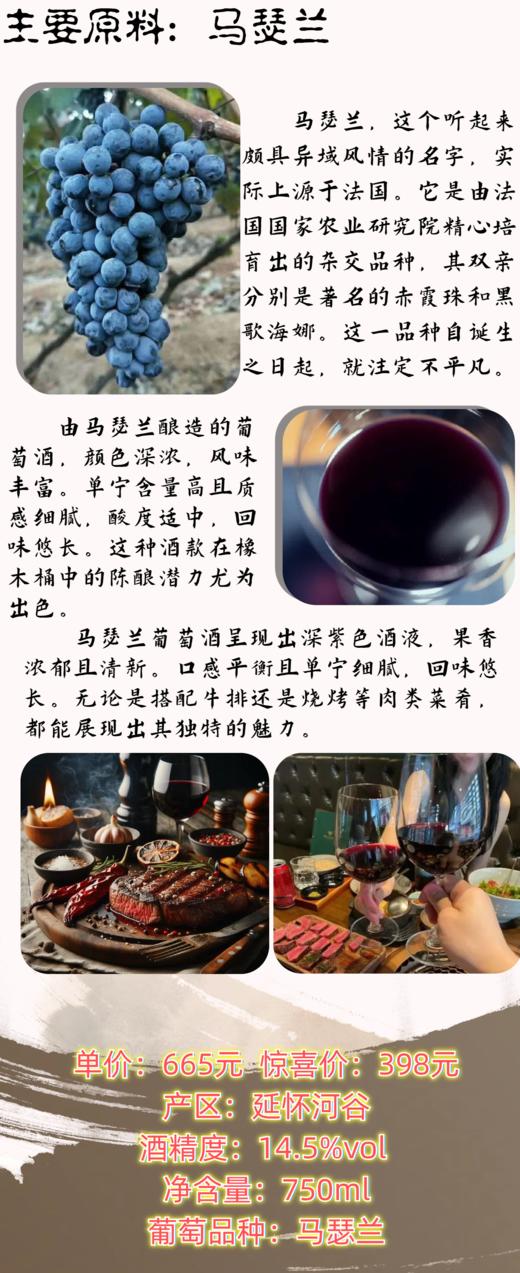 2023年份马瑟兰干型红酒 商品图2