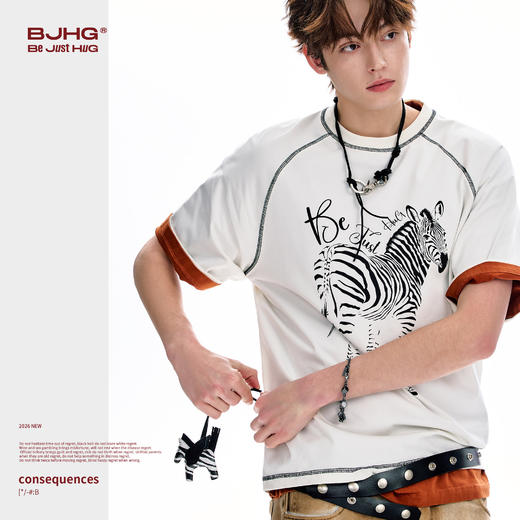 【不宠系列】BJHG不计后果斑马短袖男款夏美式防晒抑菌速干上衣女 商品图2