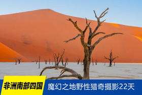 7.23确定出发【非洲南部四国】魔幻之地野性猎奇摄影22天<环球寻梦>