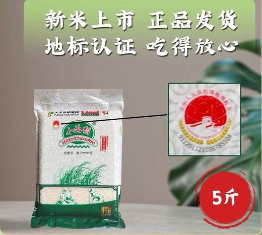天津津门小站稻大米5斤2袋家庭装  商品图3