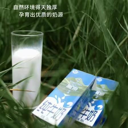 【纯牛奶】200ml*12盒/箱 高原自有生态牧场 山清水秀甘甜 商品图1