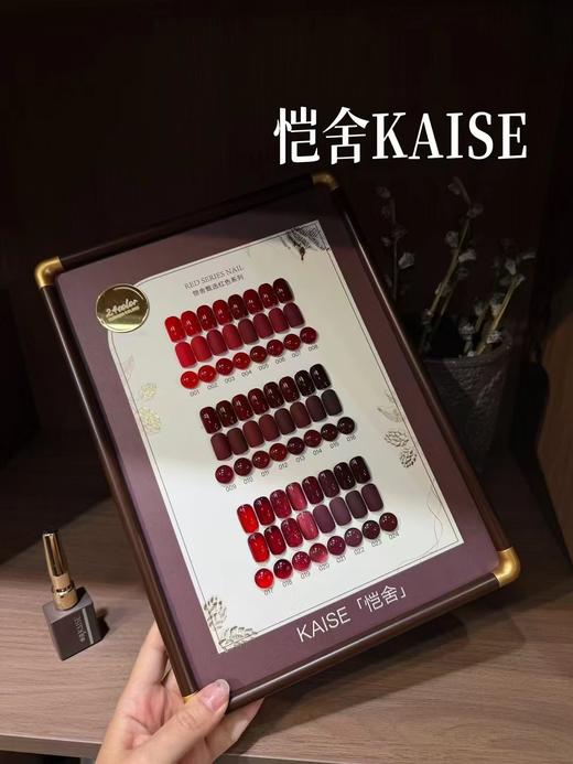 恺舍KAISE24色甄选红 商品图1
