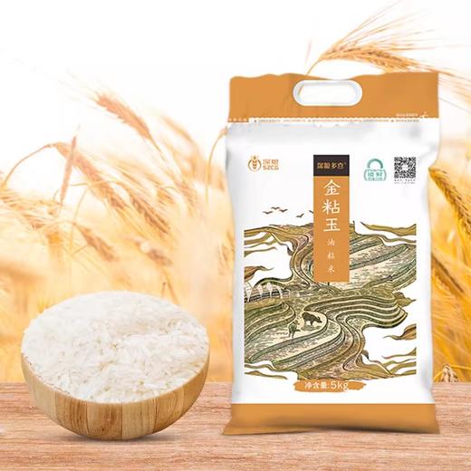 深粮多喜金粘玉油粘米 软糯泛油光 米粒细长晶白 商品图3
