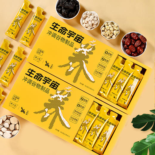 怀山堂 生命宇宙茯苓莲子黄精大枣怀山药太极拳元气食养462g 商品图1