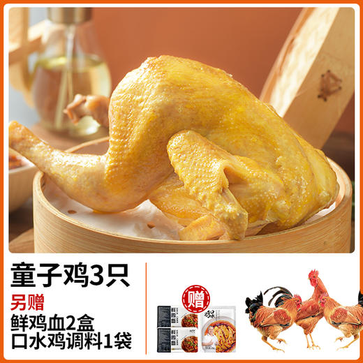 【发出后不支持拦截退货】杨博士 童子鸡 650g*3（赠鲜鸡血300g*2+口水鸡调料*1） 商品图1