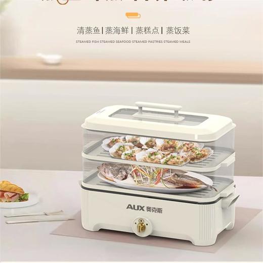 【可蒸可火锅❗️双层大容量】AUX-奥克斯电蒸火锅家用多功能电火锅5L大容量透明三层电蒸锅。jc 商品图0