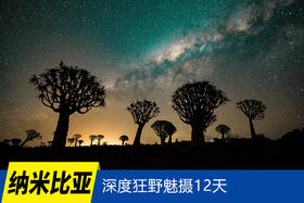7.16确定出发【纳米比亚】深度狂野魅摄12天<环球寻梦>