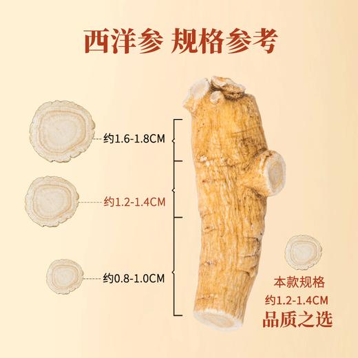 养瑞和丨西洋参大片礼盒装180g·长白山西洋参大片礼盒·年货礼盒·送长辈·参片直径约1.2-1.6cm 商品图3
