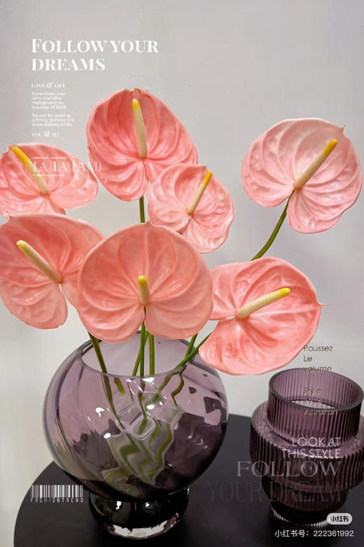 【彩掌】法拉欧 粉色  （季节原因，颜色会偏粉） 商品图0