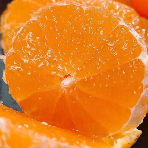 【丹寨红美人柑橘】 当季现摘 鲜甜爆汁 5斤装 商品图2