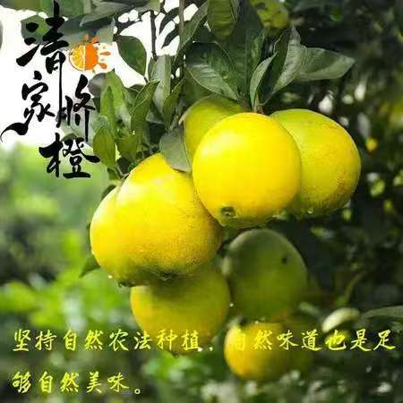 晴隆脐橙23元5斤农家自产贵州省著名商标甜而不腻酸而不涩 商品图2