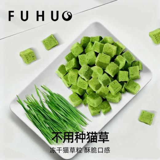 【俘获好礼】俘获G9猫草冻干猫草粒助排毛球化毛磨牙猫零食 商品图2