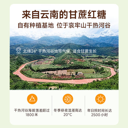 【蔗香孔雀礼盒】蔗香红糖240g/盒 礼盒装 商品图1