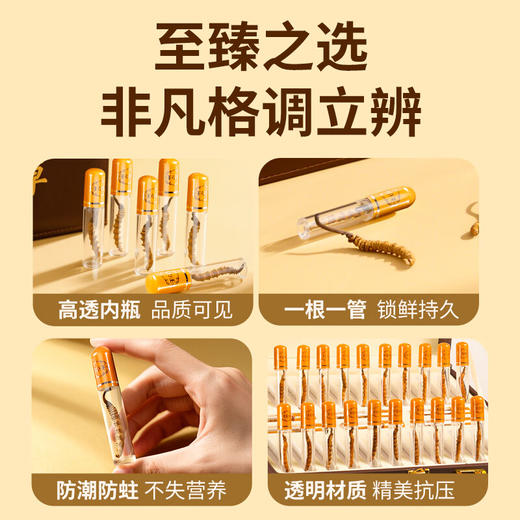 福东海 冬虫夏草礼盒 甄选高品质干虫草 补品过新年货送长辈 【特优20根】6克冬虫夏草礼盒 商品图2