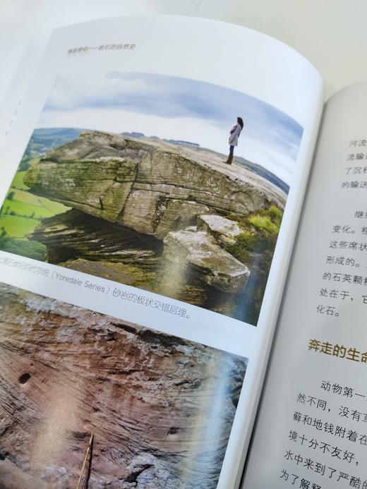 地层密码：岩石的自然史 商品图3