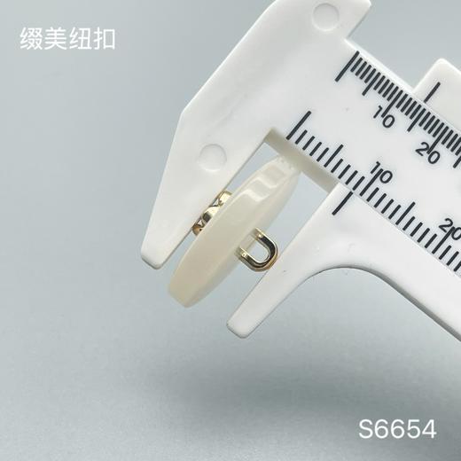 S6654(整包购买) 商品图3
