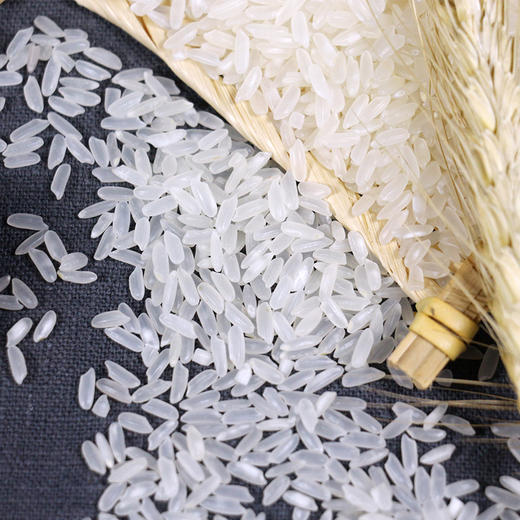 绿洲果实·鸭田长粒香 多规格可选 商品图1