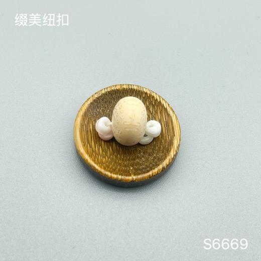 S6669(整包购买) 商品图3