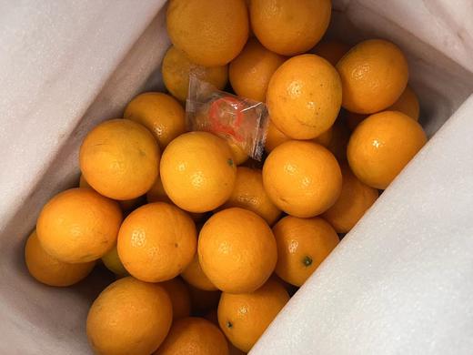 广西武鸣皇帝 柑｜口感巅峰2月9日停售｜产地现摘现发 商品图7