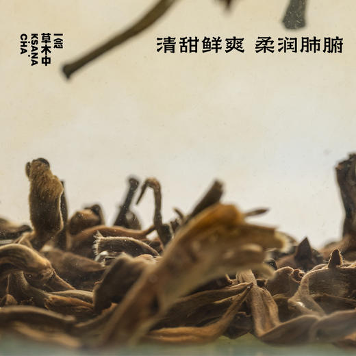 半江红·滇红金芽｜进阶原叶系列 | 50g原叶 | 红茶类 商品图1