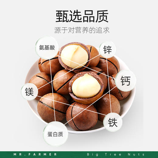 [唐老板专属]新农哥奶香味大坚果颗粒夏威夷果225g/罐配料干净罐装零食 商品图2