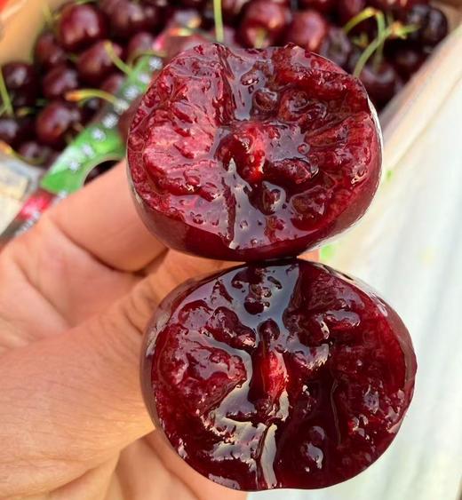 智利4JD Skeena车厘子 商品图4